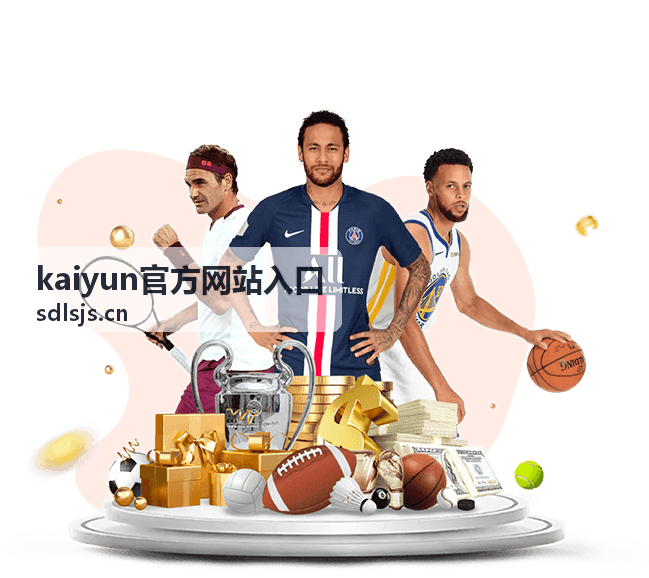 kaiyun官方网站入口账号信息与验证流程